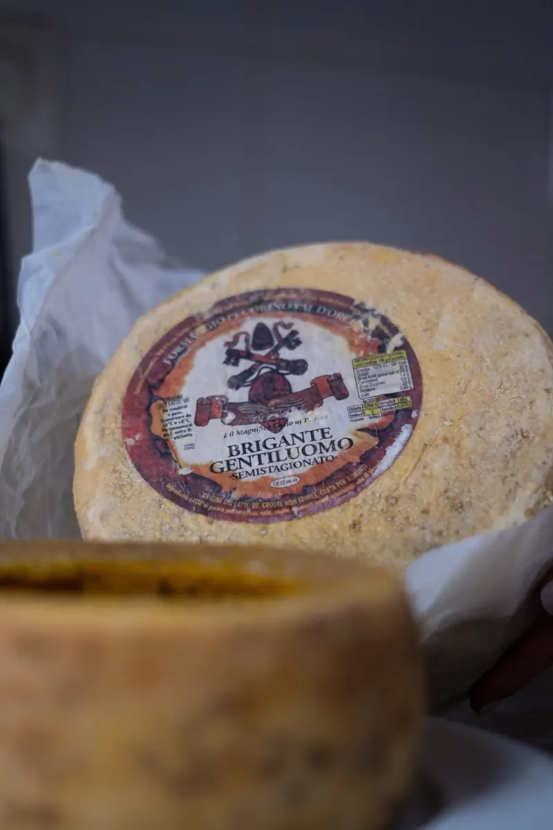 Queso italiano en rueda